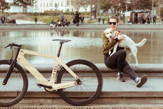 Bicycle made of wood on sale